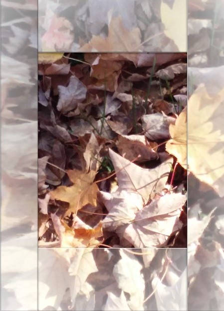 Diffuse The Situation