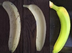 Old Blessings Are Still&nbsp;New