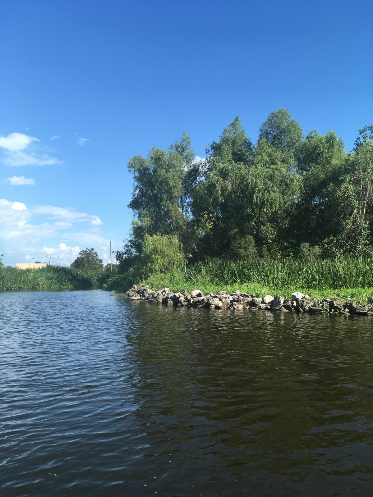 God Said Don’t Stress, Just&nbsp;Adjust