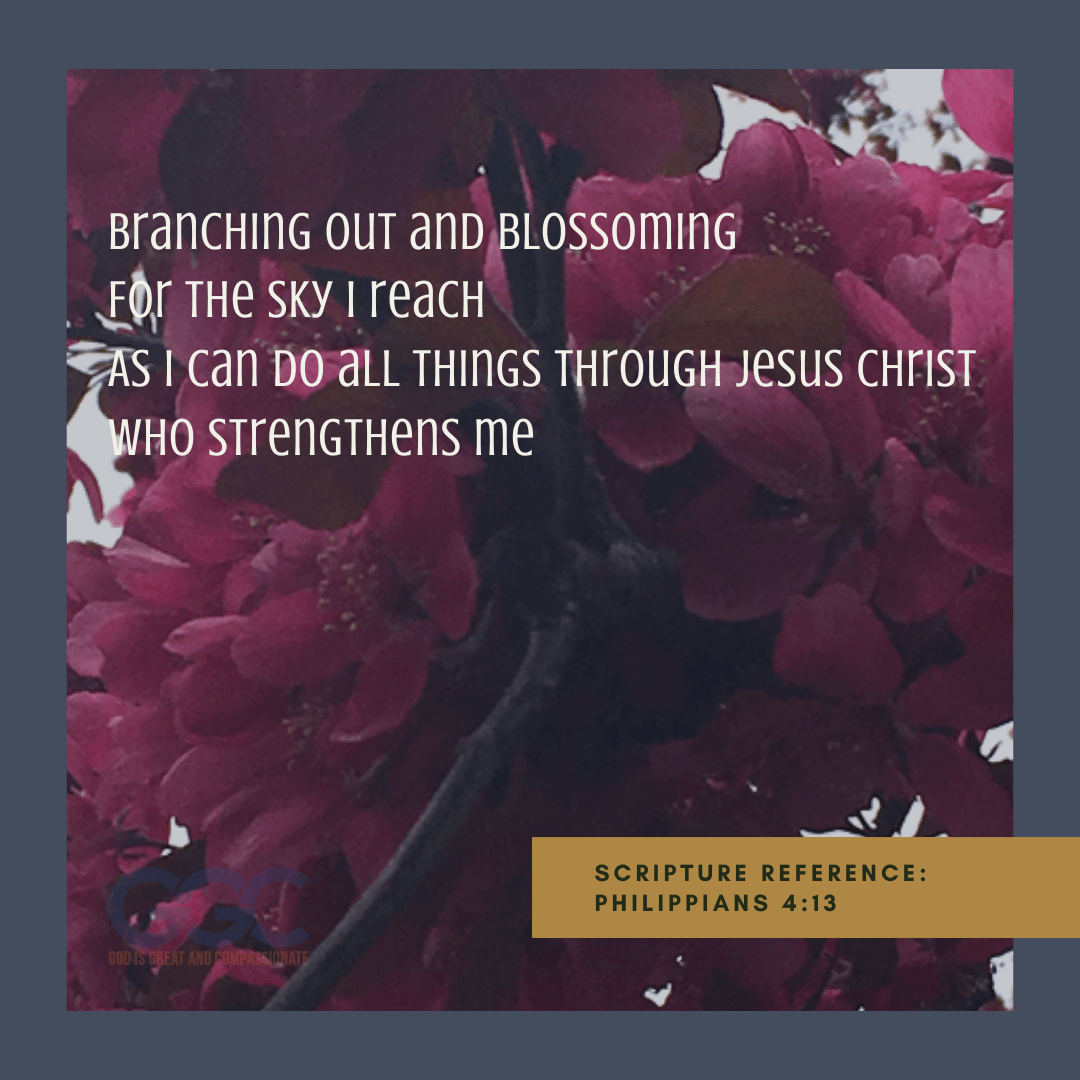 Branching Out And&nbsp;Blossoming