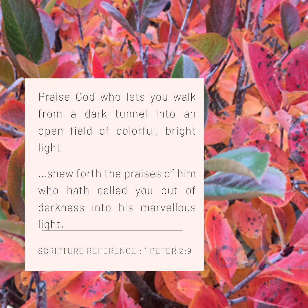 Into His Marvelous&nbsp;Light