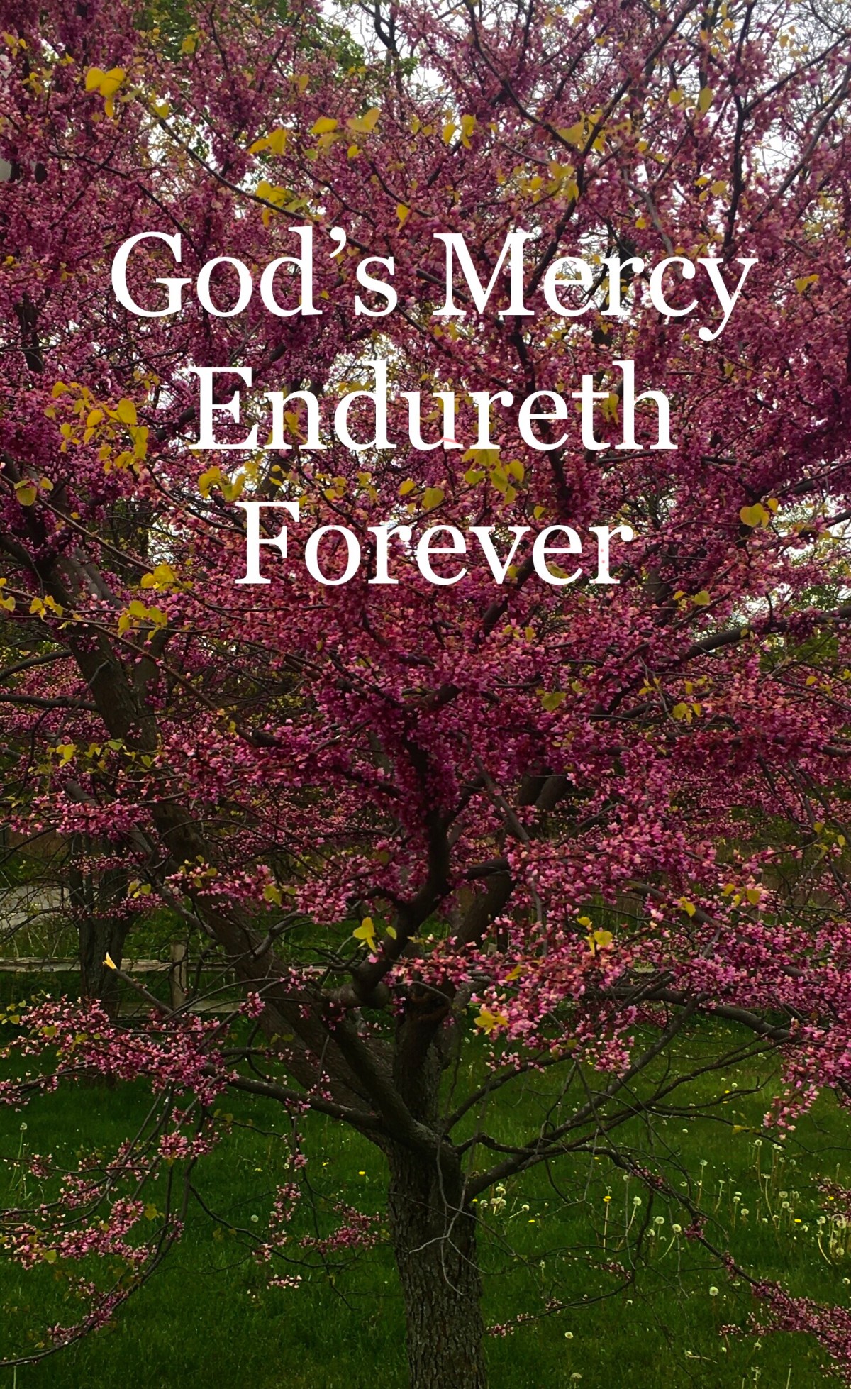 God’s Mercy Endureth&nbsp;Forever