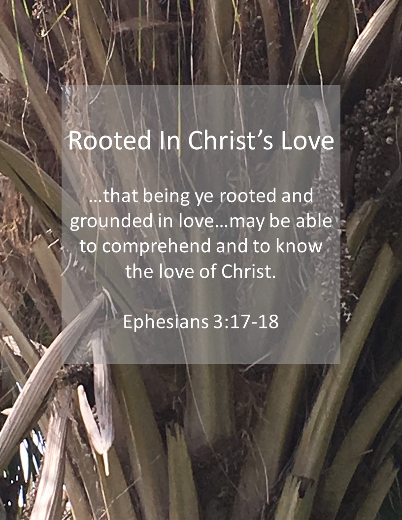 Rooted In Christ’s&nbsp;Love