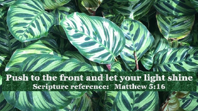 Let Your Light&nbsp;Shine