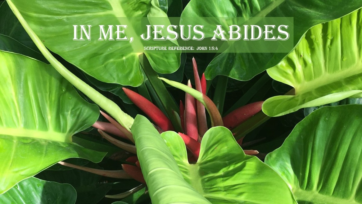 In Me, Jesus&nbsp;Abides