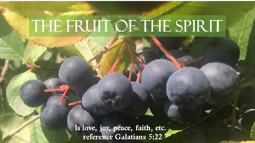 The Fruit Of The&nbsp;Spirit
