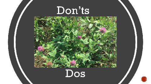 Don’ts & Dos