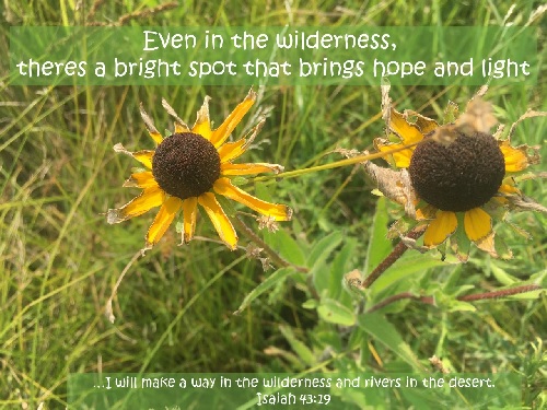 Hope In The&nbsp;Wilderness