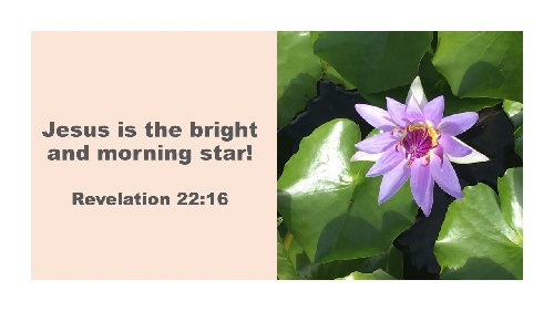 Jesus Is The Bright & Morning&nbsp;Star