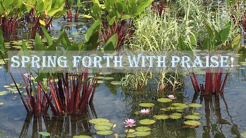 Spring Forth With&nbsp;Praise