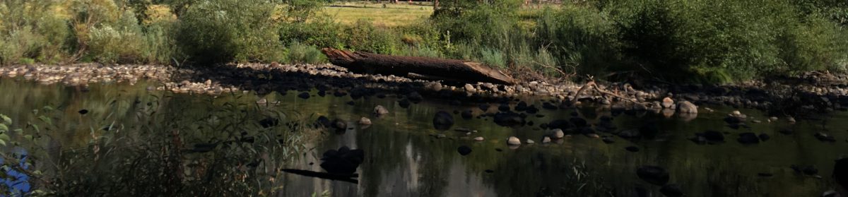 Inspirational Messages of God’s Greatness And Compassion