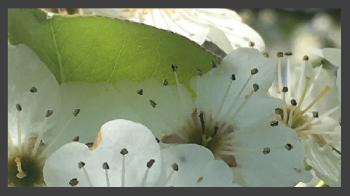 It Feels Good To Be&nbsp;Loved