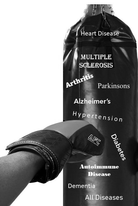 The Dis-ease Of The&nbsp;Disease